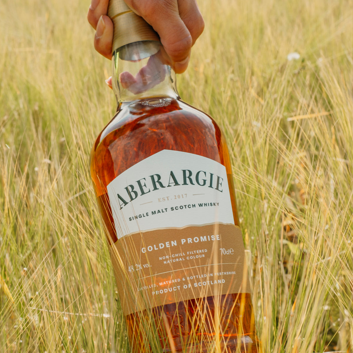 Aberargie Golden Promise Expression - Morrison Single Malt Whisky, 70cl